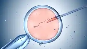 “Daha İyi Bebek” Skandalı: Genetik Seçimi Tartışmaları!