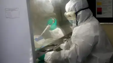 Bağışıklık Sisteminde Antibiyotik Krizi Çözümü: Yeni Keşif!