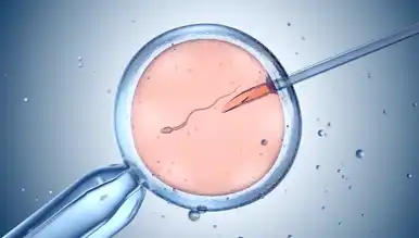 “Daha İyi Bebek” Skandalı: Genetik Seçimi Tartışmaları!