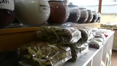 Ihlamur Fiyatları Çılgınlaştı! %100 Zam!
