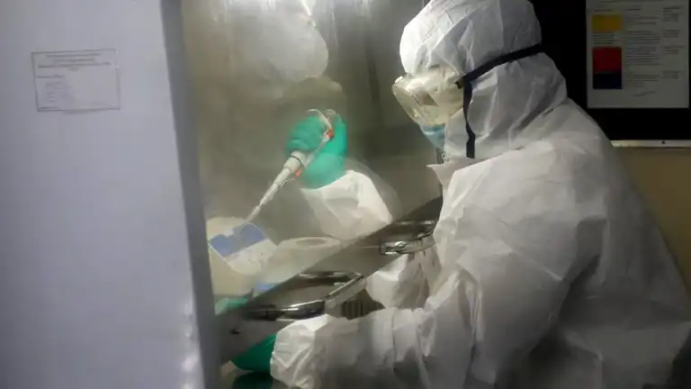 Bağışıklık Sisteminde Antibiyotik Krizi Çözümü: Yeni Keşif!