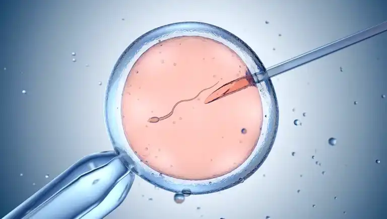 “Daha İyi Bebek” Skandalı: Genetik Seçimi Tartışmaları!