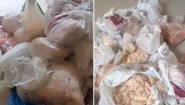 Elazığ'da 345 Kg Kokuşmuş Tavuk Ele Geçirildi
